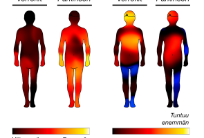 Kehokarttoja, joihin kuvattu väreillä tunteiden keholliset kokemukset