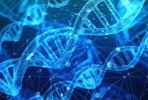 Kaksoiskierteinen DNA