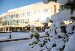 kampus talviaamuna / campus in the winter morning