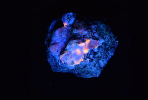 Hackmaniitti-mineraali kuvattuna UV-valossa
