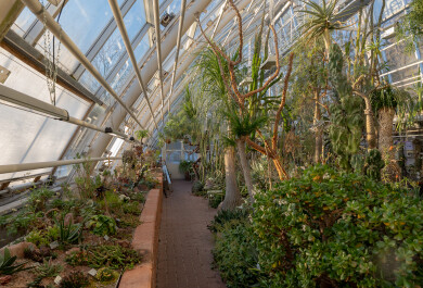 Kuvassa puutarhan ikkunat, jotka vaihdetaan remontissa sekä puutarhan kasveja.