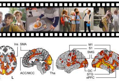 Kuvan yläosassa on neljä valokuvaa kiusaamistilanteista ja alaosassa neljä kuvaa aivoista, joiden eri osiot on merkattu oranssilla.