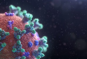 piirroskuva koronaviruksesta