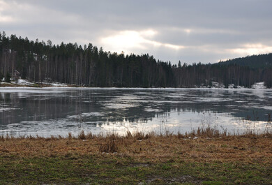 Nautajärven jäinen pinta helmikuussa 2014, jolloin talvi oli poikkeuksellisen leuto ja lumipeite harvinaisen ohut suuressa osassa Etelä-Suomea. 