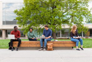 Ihmisiä istumassa ulkona penkillä, taustalla puu ja yliopiston Feeniks-kirjasto.