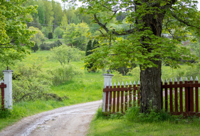 UUTISKUVA seili kesa 2021 26