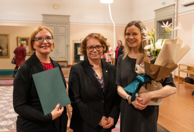 Martinpaiva 20251110 vaikuttavuusteko