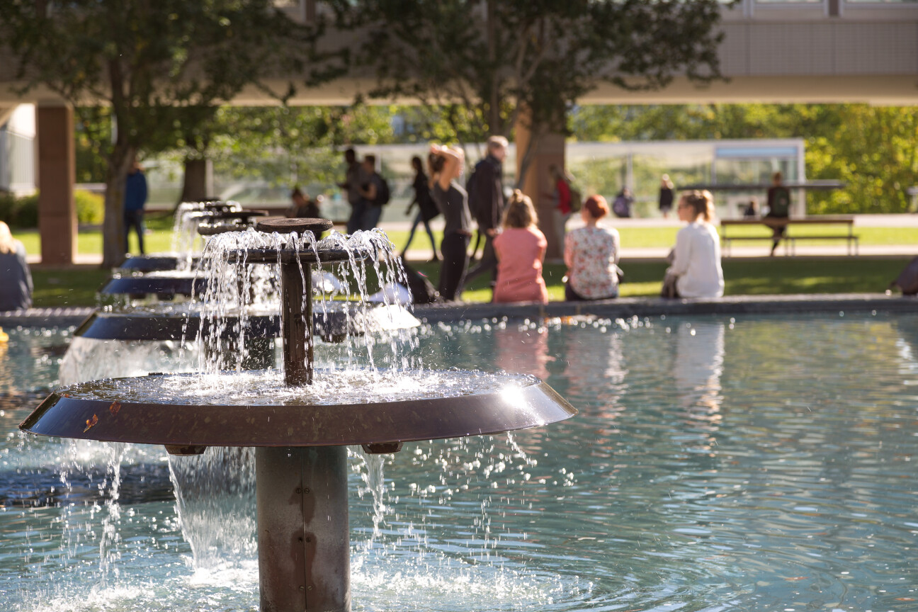 Suihkulahde opiskelijoita syys