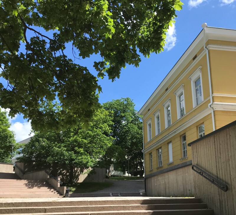 Yliopistonmäki keväällä