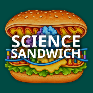 podcastin tunnuskuva, vihreällä taustalla graafinen kuvitus täytetystä voileivästä, jonka keskellä lukee podcastin nimi science sandwich