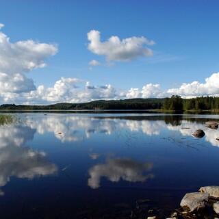 Finnish lakeside at summer